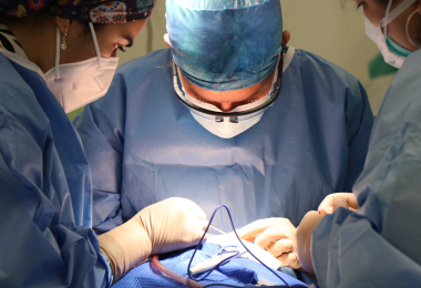 ללא שם (380 x 260 פיקסל) (1)